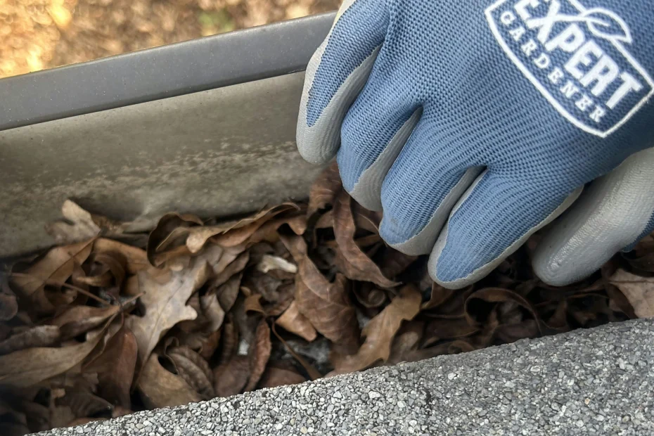 Gutter Cleaning Glen Burnie