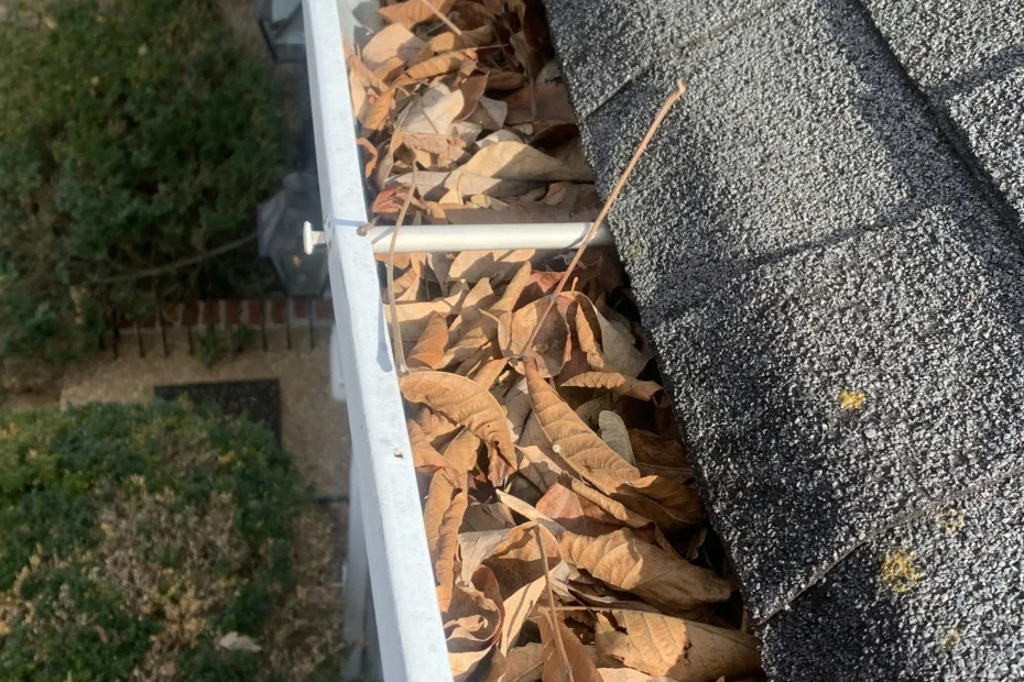 Gutter Cleaning Glen Burnie